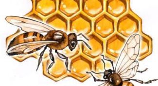 Картинка по теме - как предотвратить роение пчел