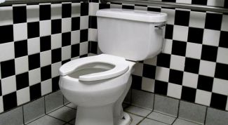 Картинка по теме - как устранить засор в туалете