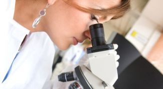 Картинка по теме - что такое гистология