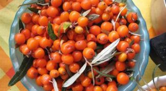 Картинка по теме - как применять облепиховое масло