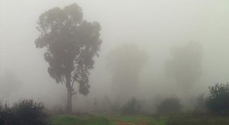 Картинка по теме - почему образуется туман