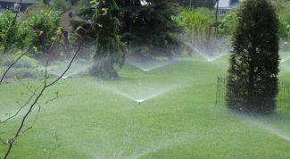 Картинка по теме - как определить влажность почвы