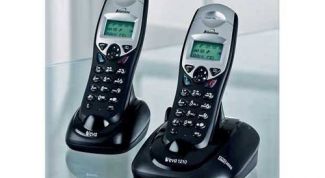 Картинка по теме - как узнать телефон магазина