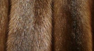 Картинка по теме - как проверить качество норки