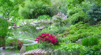 Картинка по теме - как сделать японский сад