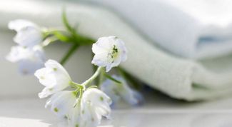 Картинка по теме - как отбелить белую ткань