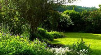 Картинка по теме - что такое естественная система природы