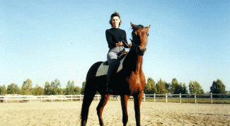 Картинка по теме - как достичь совершенства в верховой езде