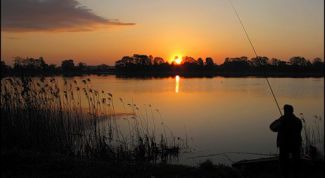 Картинка по теме - как ловить рыбу в пруду