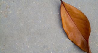 Картинка по теме - как представить осень