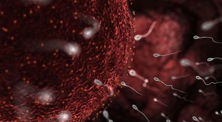 Картинка по теме - что делать, если спермограмма плохая