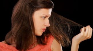 Картинка по теме - как вылечить сухие кончики волос