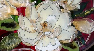 Картинка по теме - как сделать контур рисунка