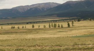 Картинка по теме - как выжить в степи