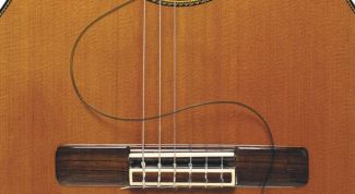 Картинка по теме - как подключать звукосниматели