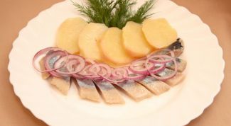 Картинка по теме - как вымачивать сельдь