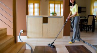 Картинка по теме - как избавиться от блох в квартире народными средствами