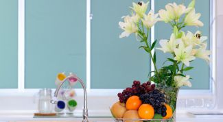 Картинка по теме - как избавиться от мушек на кухне