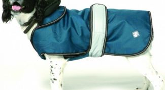 Картинка по теме - как сшить кофту для собаки