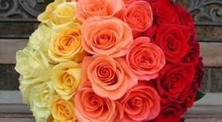 Картинка по теме - как поздравить маму, если нет денег