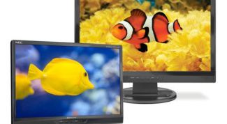 Картинка по теме - как проверить лампу подсветки монитора