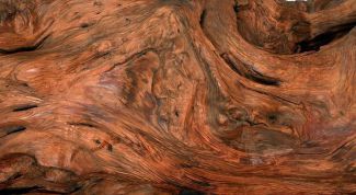 Картинка по теме - как состарить дерево