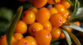 Картинка по теме - как сварить вкусное варенье из облепихи