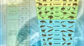 Картинка по теме - почему любая периодизация исторического процесса условна