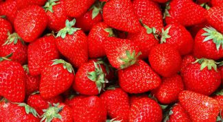 Картинка по теме - как укрывать клубнику на зиму