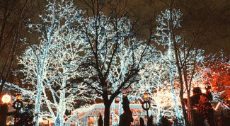 Картинка по теме - как украсить гирляндами дом