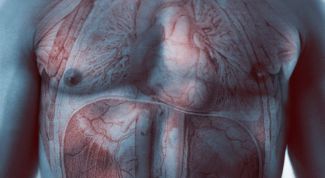 Картинка по теме - для чего нужна диафрагма