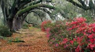 Картинка по теме - для чего нужна пейзажная лирика