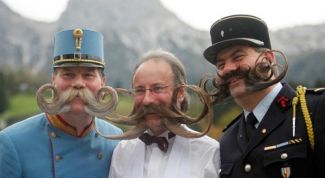 Картинка по теме - зачем нужны усы