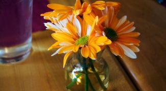 Картинка по теме - как сделать срез