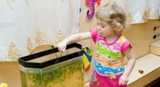 Картинка по теме - как устроить ребенка в детский сад без очереди