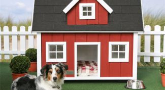 Картинка по теме - как сделать теплую будку