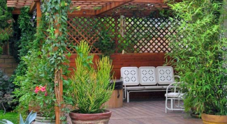 Картинка по теме - как придумать дизайн дачи