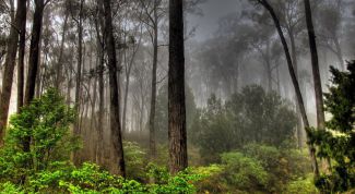 Картинка по теме - как научиться выживать