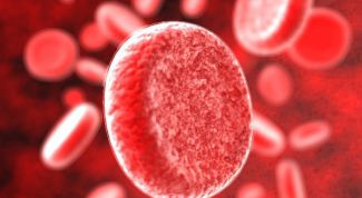 Картинка по теме - как повысить уровень железа в крови