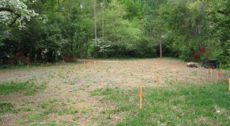 Картинка по теме - как арендовать участок земли