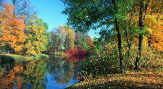 Картинка по теме - что такое естествознание