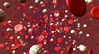 Картинка по теме - почему повышены тромбоциты