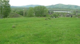 Картинка по теме - как встать на очередь для получения земельного участка