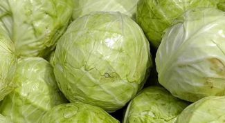Картинка по теме - как приготовить блюда из капусты на праздник