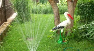 Картинка по теме - как восстановить почву