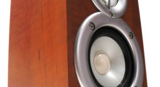 Картинка по теме - как убрать шум в динамиках