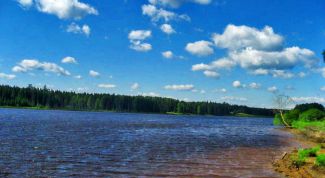 Картинка по теме - что такое природное сообщество