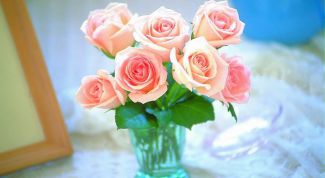 Картинка по теме - как продлить жизнь срезанным цветам