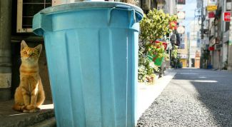 Картинка по теме - как поставить корзину на рабочий стол