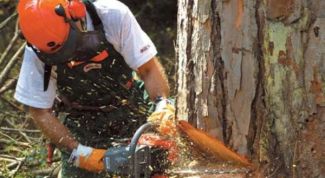 Картинка по теме - как настроить карбюратор бензопилы